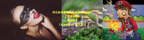 PSILOCYBIN Алексеевка