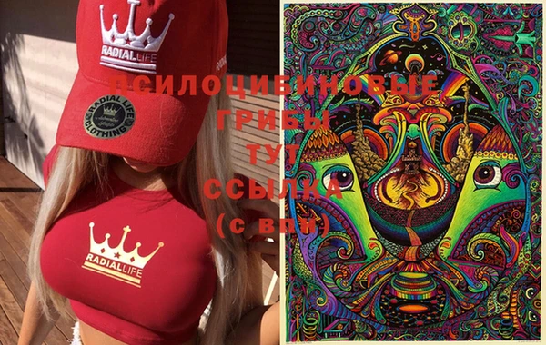 спайс Абинск