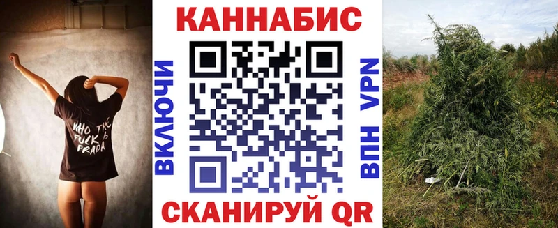 omg ссылки  Слюдянка  Шишки марихуана индика 